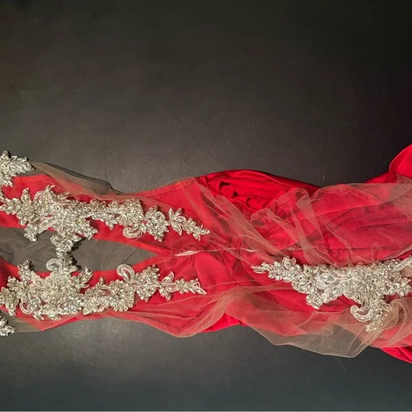 Red and Silver Sheer Dress - Picture 5 of 6